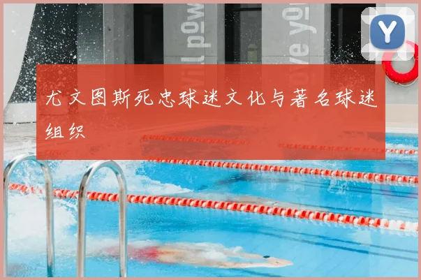 尤文图斯死忠球迷文化与著名球迷组织