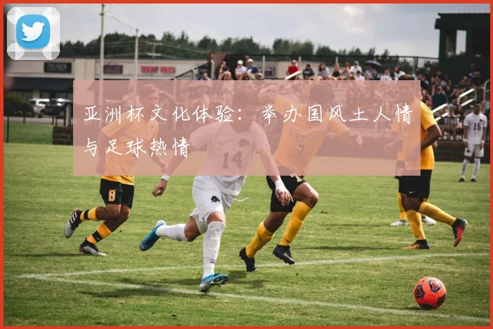 亚洲杯文化体验:举办国风土人情与足球热情